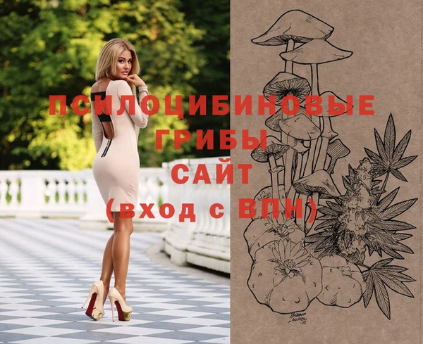 эйфоретик Балахна
