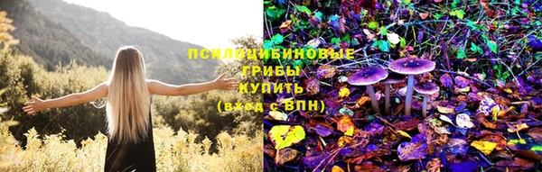 эйфоретик Балахна
