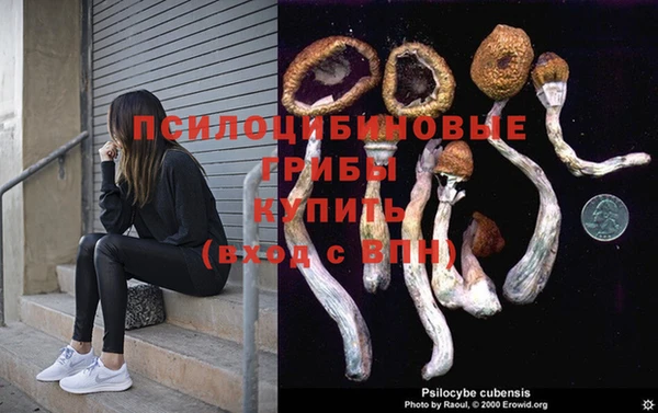 эйфоретик Балахна
