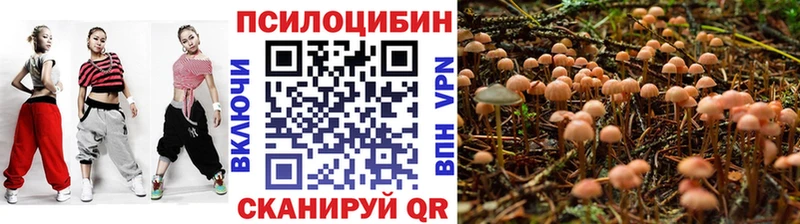Галлюциногенные грибы мицелий мега Вельск где продают